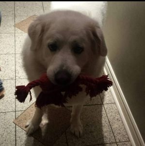 Meet your Posher, Teresa